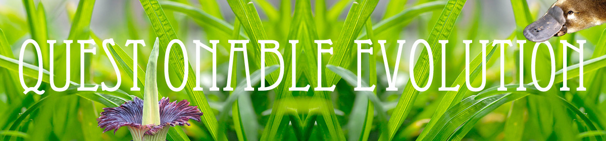 Questionable Evolution