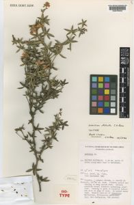 1cd40a9b21a55ec11d40b22d8183a7ea